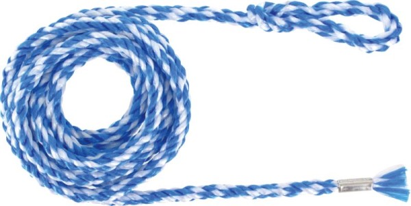 TRIUSO Gerüststrick 2,5m blauweiß mit Schlaufe